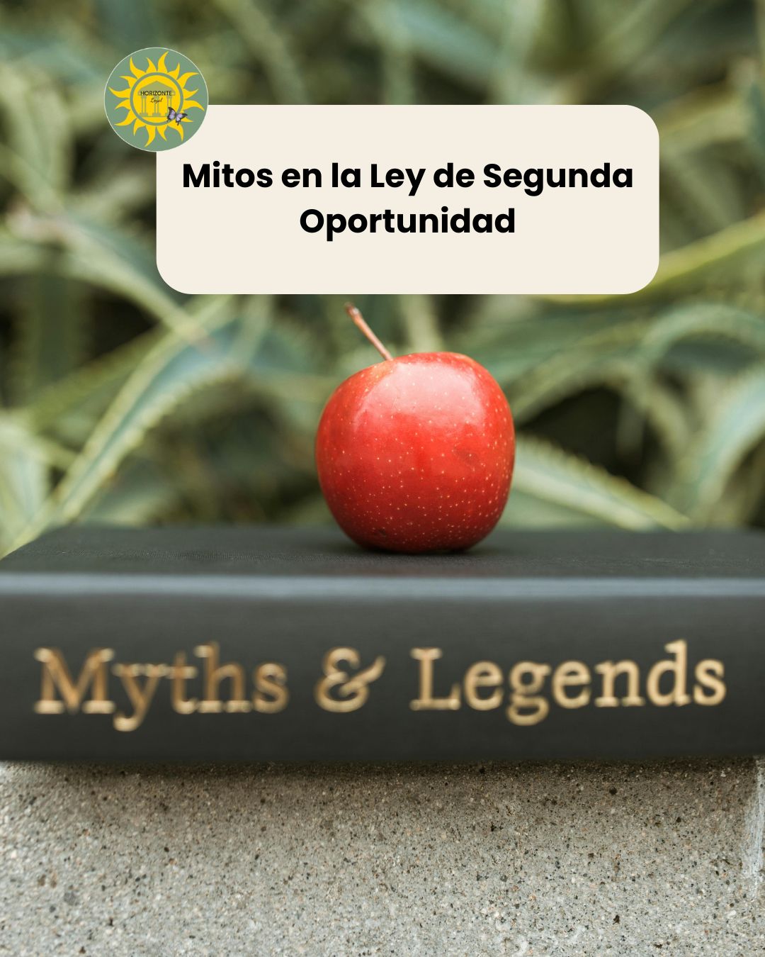 Mitos de la Ley de Segunda Oportunidad en Barcelona