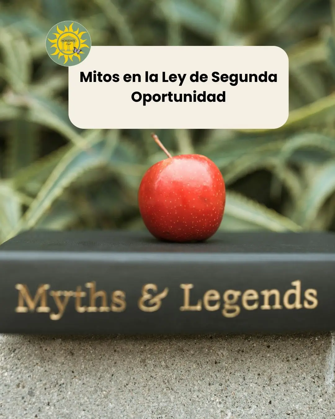 Mitos de la Ley de Segunda Oportunidad en Barcelona